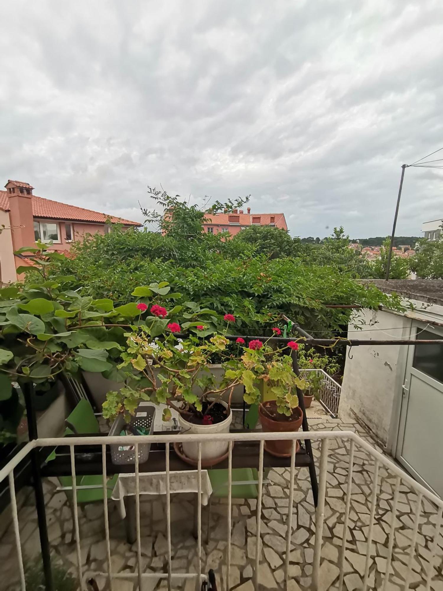 Casa Di Nonna Pina, Kuca U Blizini Arene Lejlighed Pula Eksteriør billede